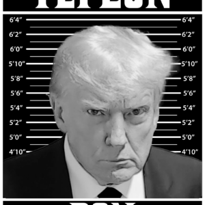 Teflon Don Poster